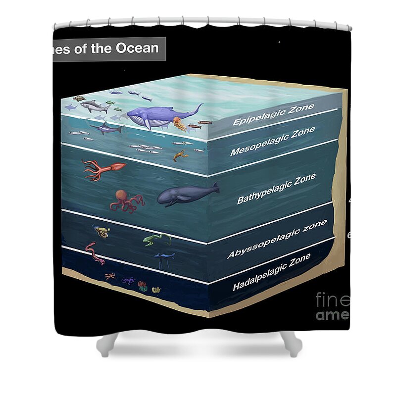 Illustration Shower Curtain featuring the photograph Zones Of The Ocean by Spencer Sutton