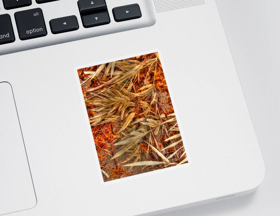 Brown Sticker featuring the photograph Bamboo Leaves by Michelle Meenawong