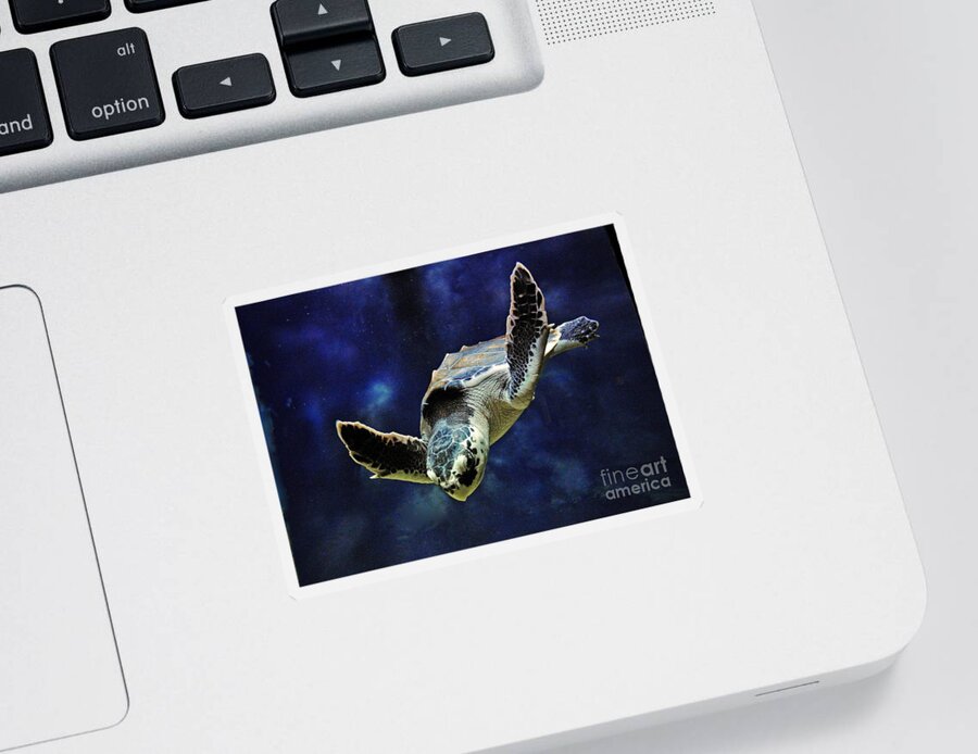 Nature Sticker featuring the photograph Sea Turtle by Savannah Gibbs