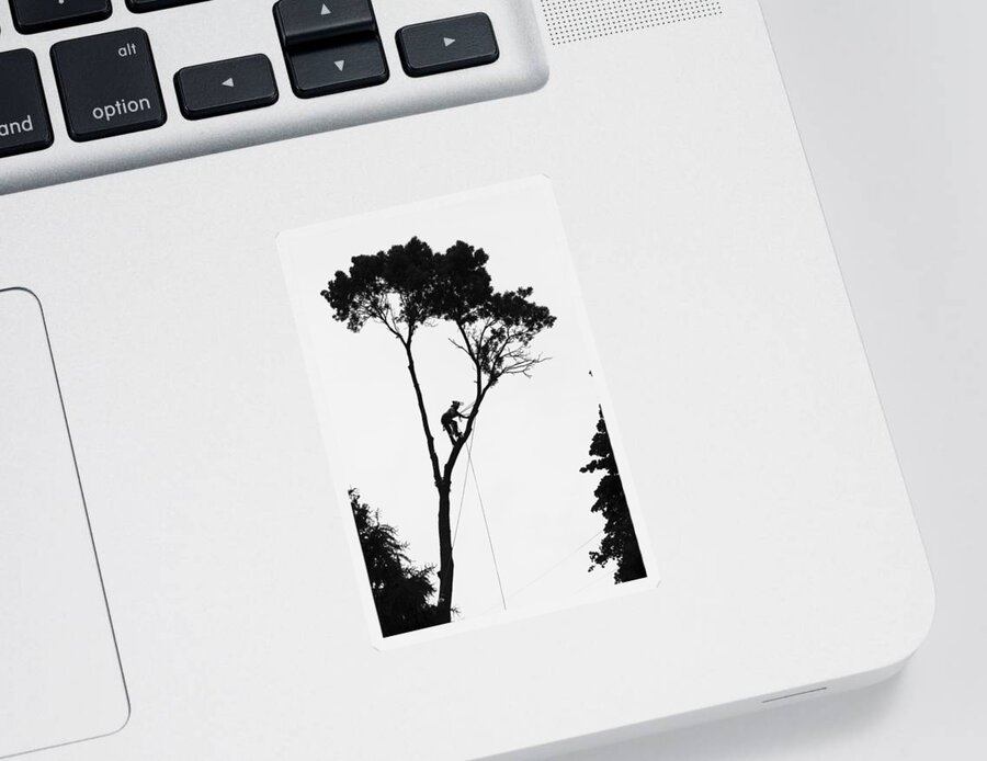 Silhouette Sticker featuring the photograph Arborist at Work by Steven Ralser