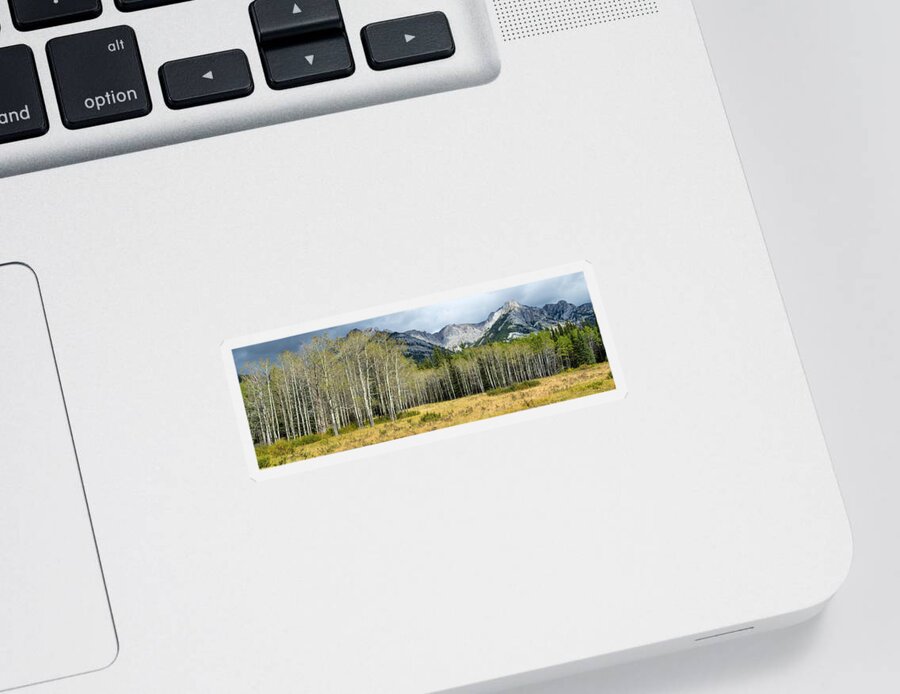 Photography Sticker featuring the photograph Aspen Trees With Mountains #1 by Panoramic Images