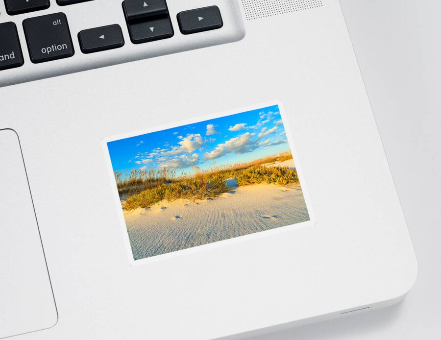Florida Sticker featuring the photograph Beautiful Beach by Raul Rodriguez