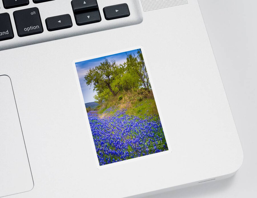 America Sticker featuring the photograph Bluebonnet Meadow #1 by Inge Johnsson