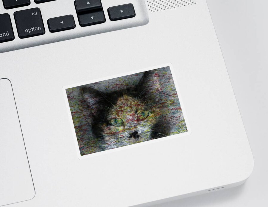 Cat Sticker featuring the photograph Catalina #1 by David Yocum