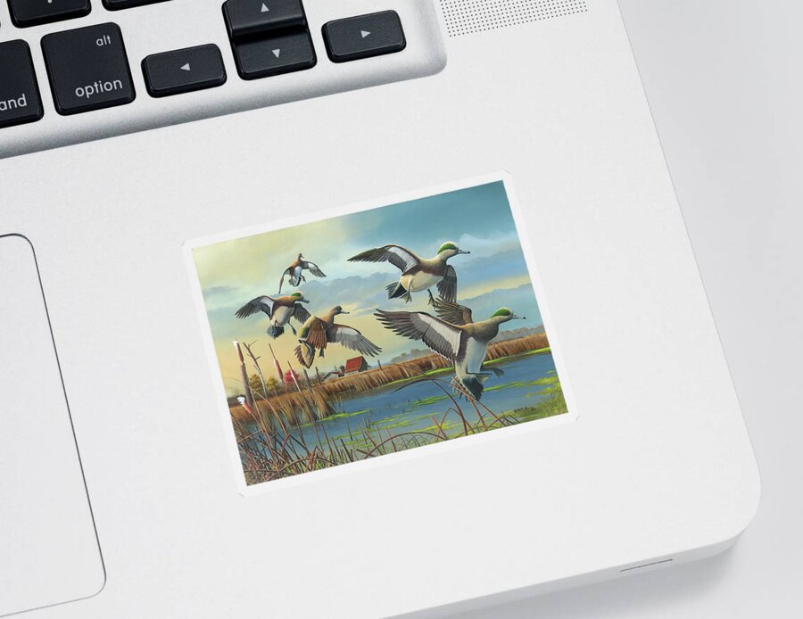 American Wigeons Sticker featuring the painting Coming Home by Mike Brown