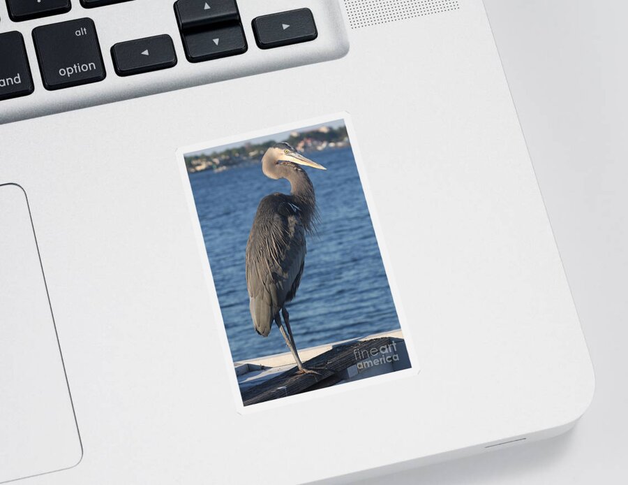 Heron Sticker featuring the photograph Great Blue Heron by Christiane Schulze Art And Photography