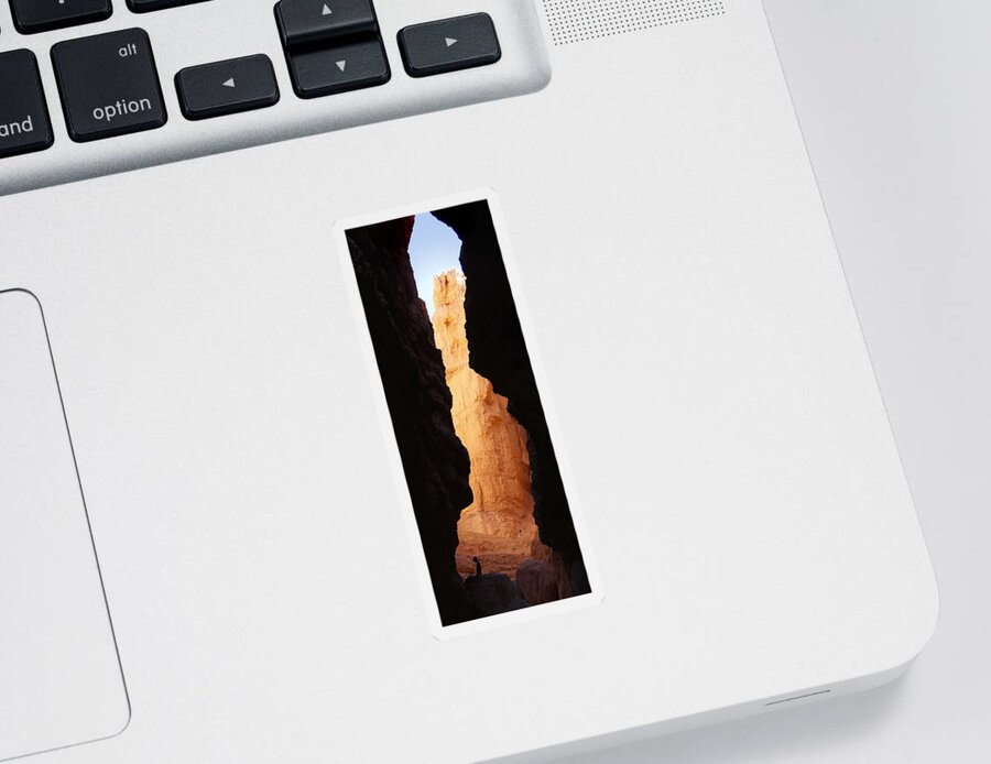 Desert Sticker featuring the photograph Looking Out #1 by Mike McGlothlen