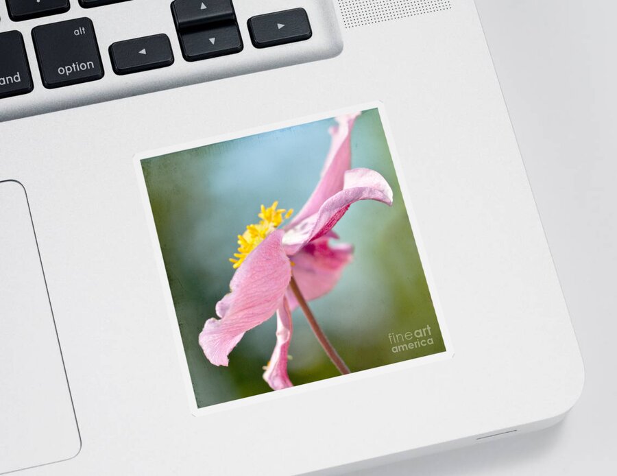 Japanese Anemone Sticker featuring the photograph Reaching for the Sky #2 by Kerri Farley