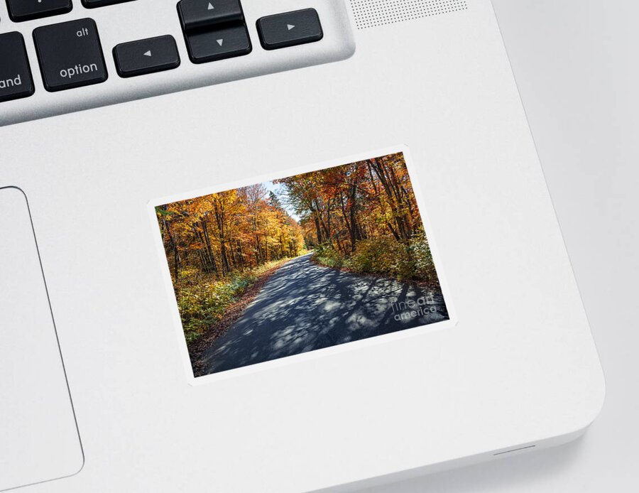 Road Sticker featuring the photograph Road in fall forest by Elena Elisseeva