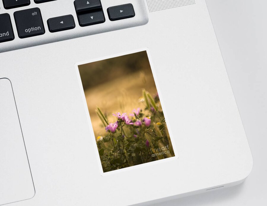 Meadow Sticker featuring the photograph Spanish meadow #1 by Ang El