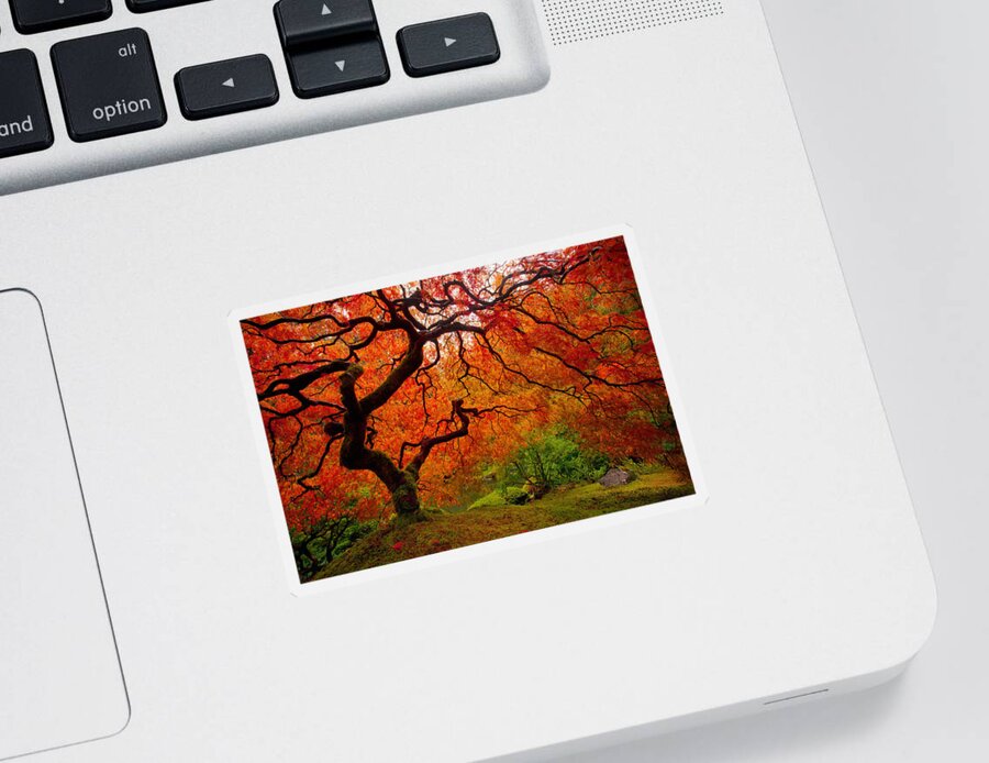 Autumn Sticker featuring the photograph Tree Fire #2 by Darren White