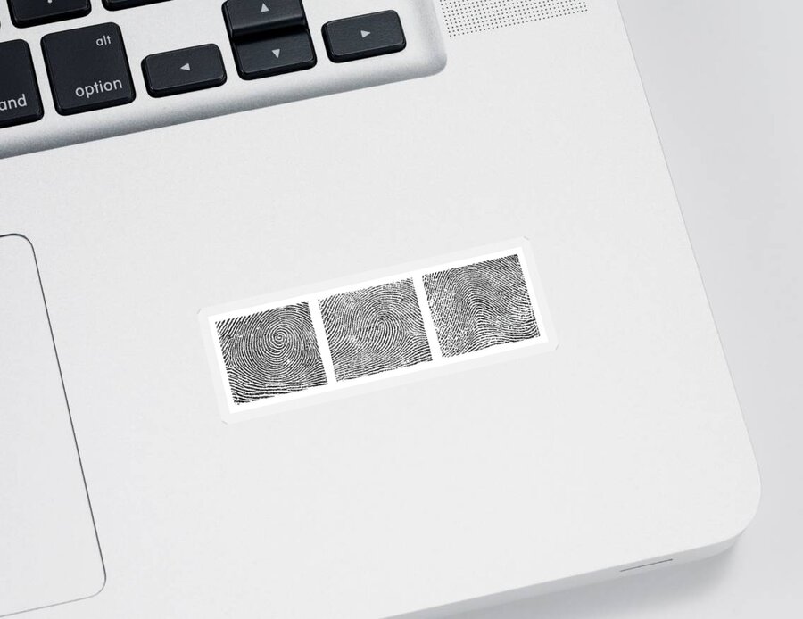 Fingerprint Sticker featuring the photograph Whorl, Loop, And Arch Fingerprints #1 by Science Source