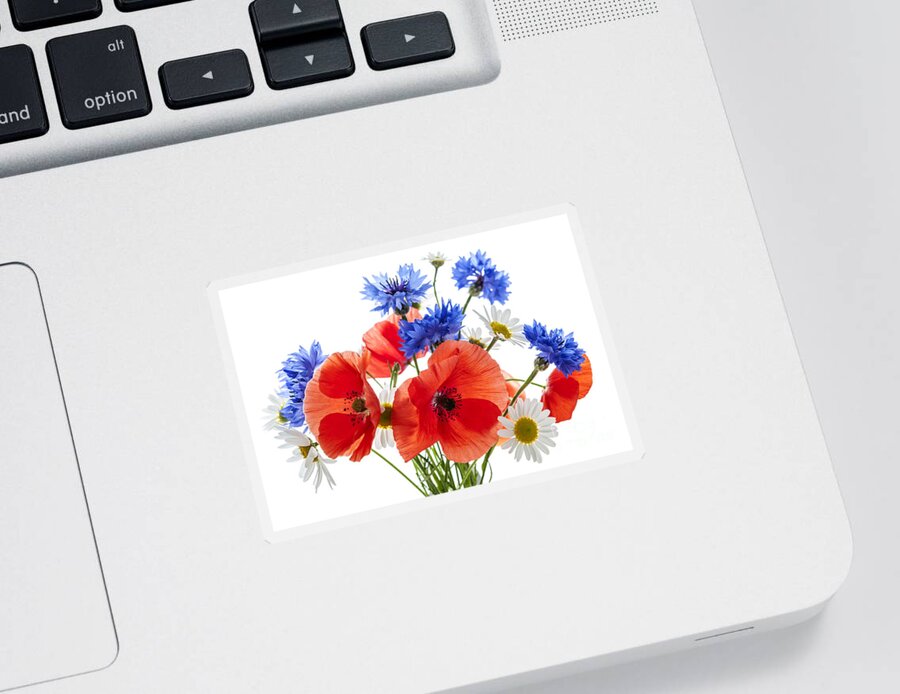 Flowers Sticker featuring the photograph Wildflower bouquet 1 by Elena Elisseeva