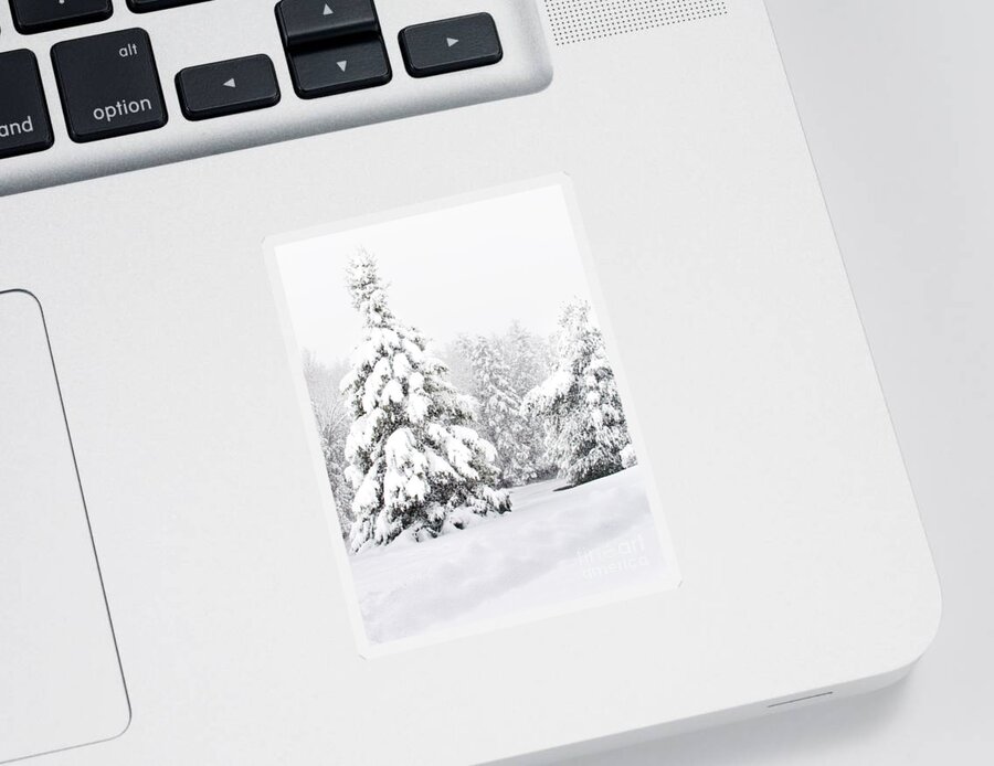 Winter Landscape Sticker featuring the photograph Winter Landscape #1 by Gwen Gibson