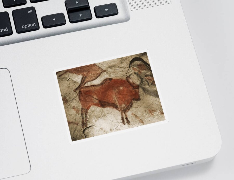 Cave Painting Sticker featuring the photograph Altamira Cave Paintings #4 by Photo Researchers