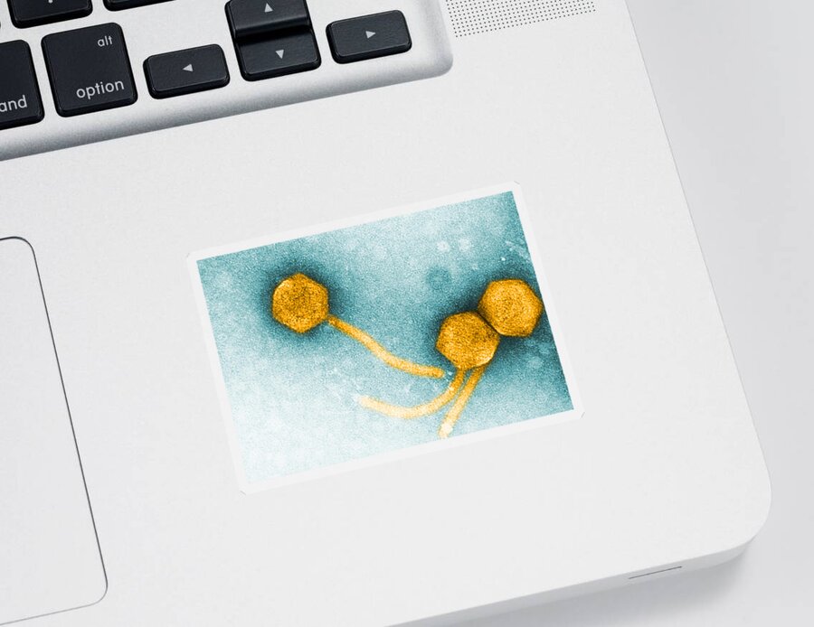 Medical Sticker featuring the photograph Enteriobacteria Phage T5, Tem #2 by Biology Pics