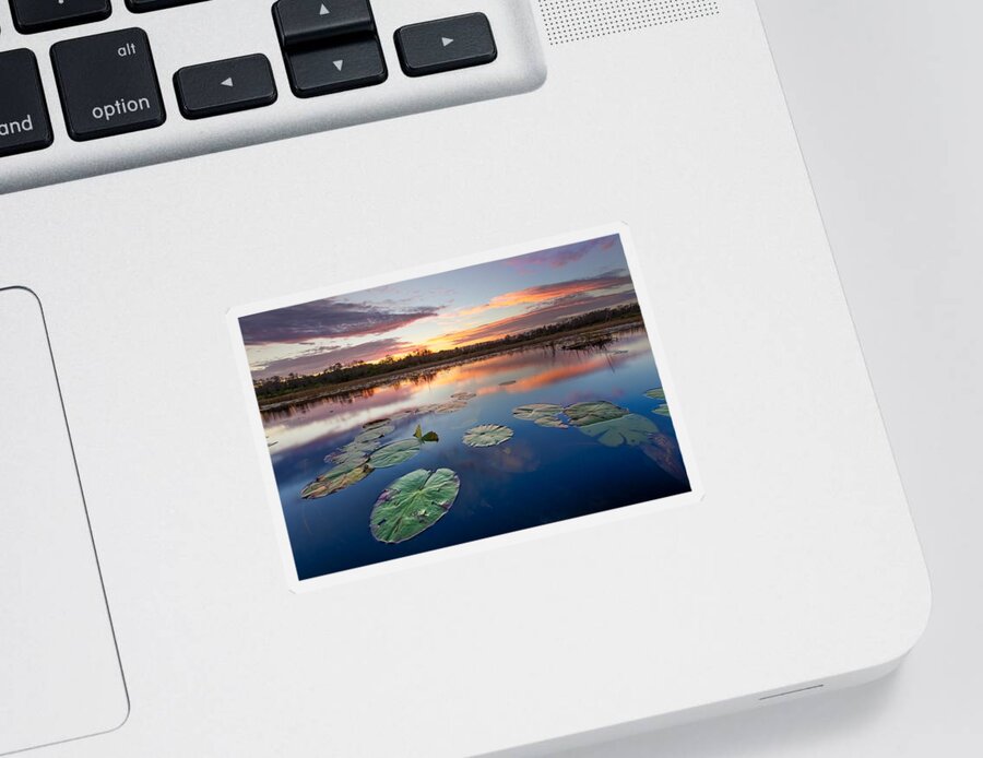 Clouds Sticker featuring the photograph Everglades at Sunset by Debra and Dave Vanderlaan