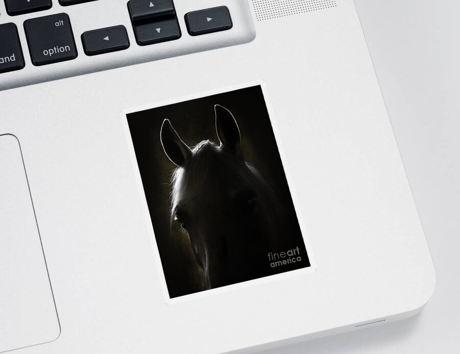 Horse Sticker featuring the photograph In The Dark by Ang El