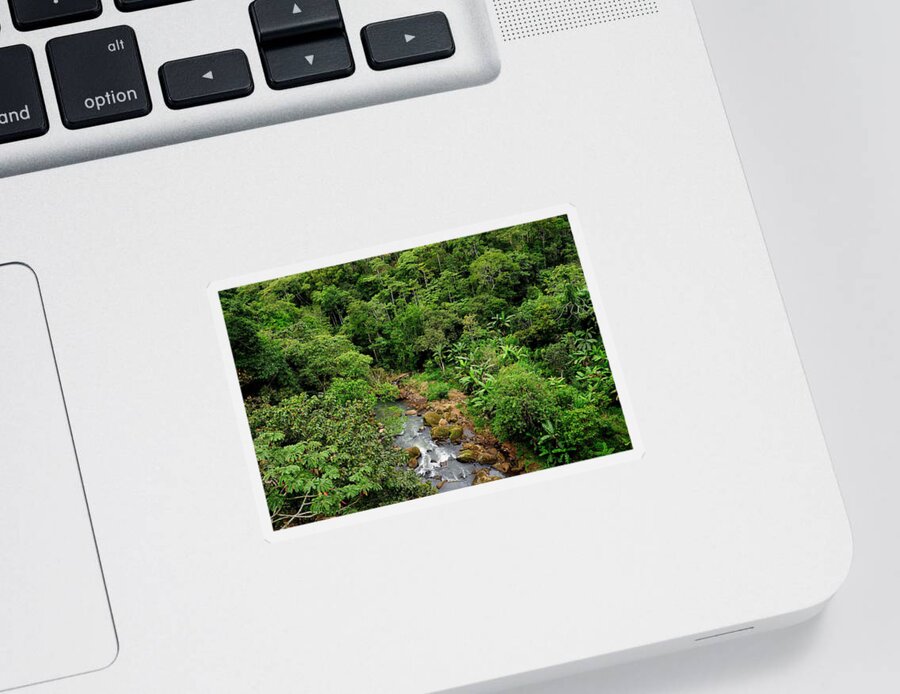Central America Landscape Sticker featuring the photograph Jungle Stream #2 by Theodore Clutter