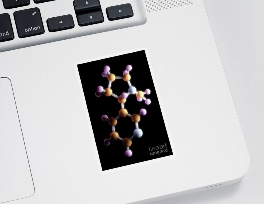 Drugs Sticker featuring the photograph Nicotine #2 by Science Picture Co