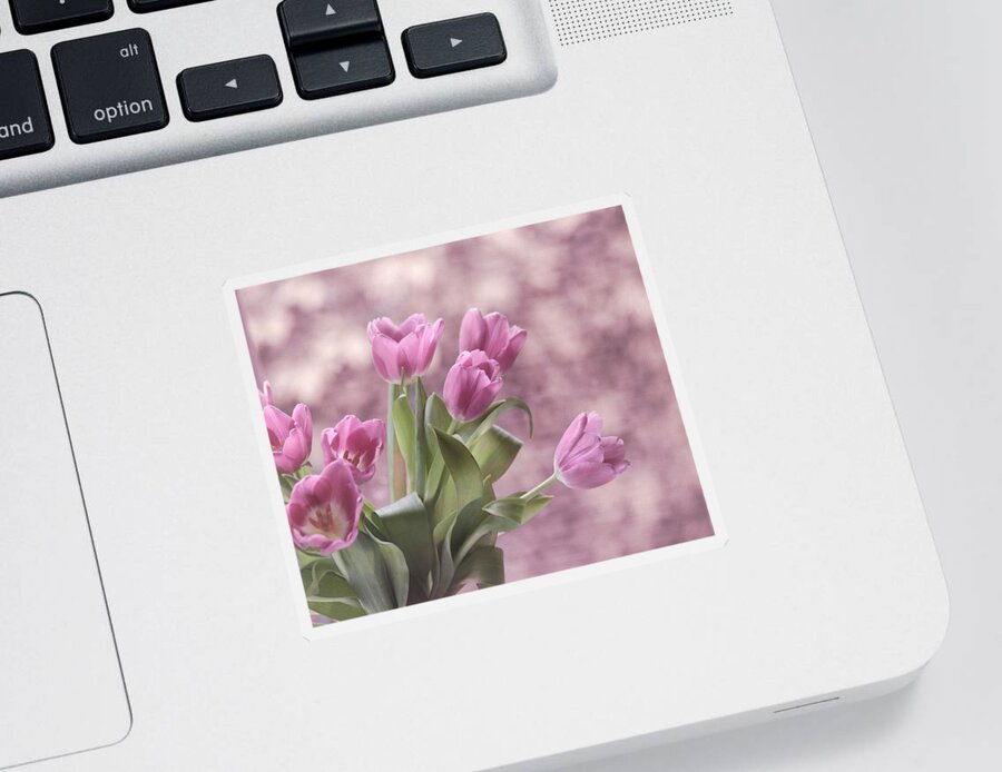 Tulip Sticker featuring the photograph Song of Spring #1 by Kim Hojnacki