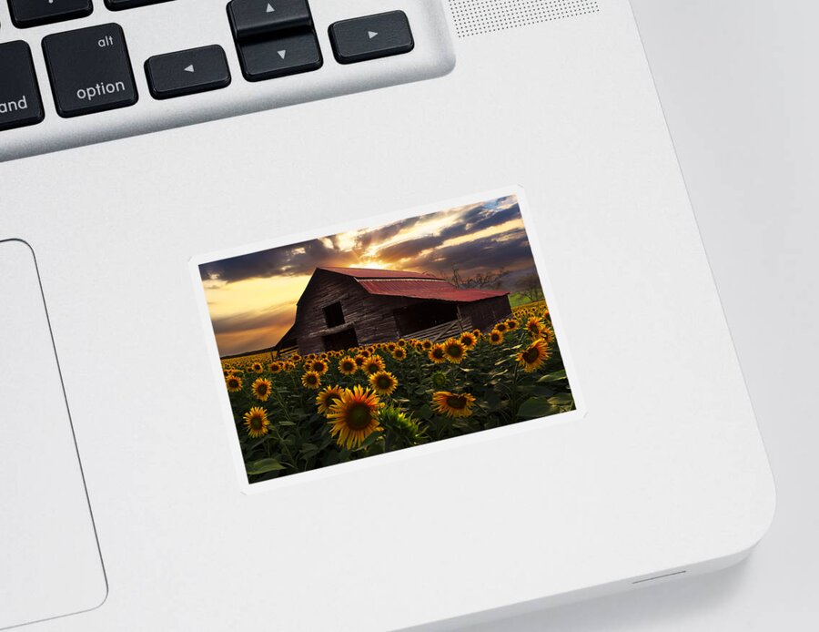 Sunflowers Sticker featuring the photograph Sunflower Farm by Debra and Dave Vanderlaan