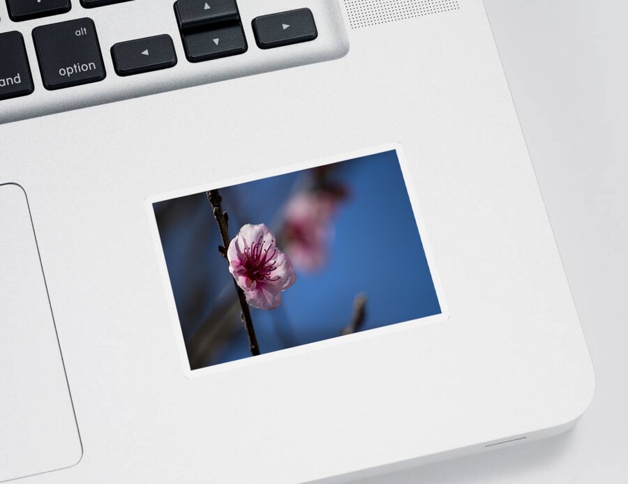 Beautiful Sticker featuring the photograph The spring is coming #2 by Paulo Goncalves