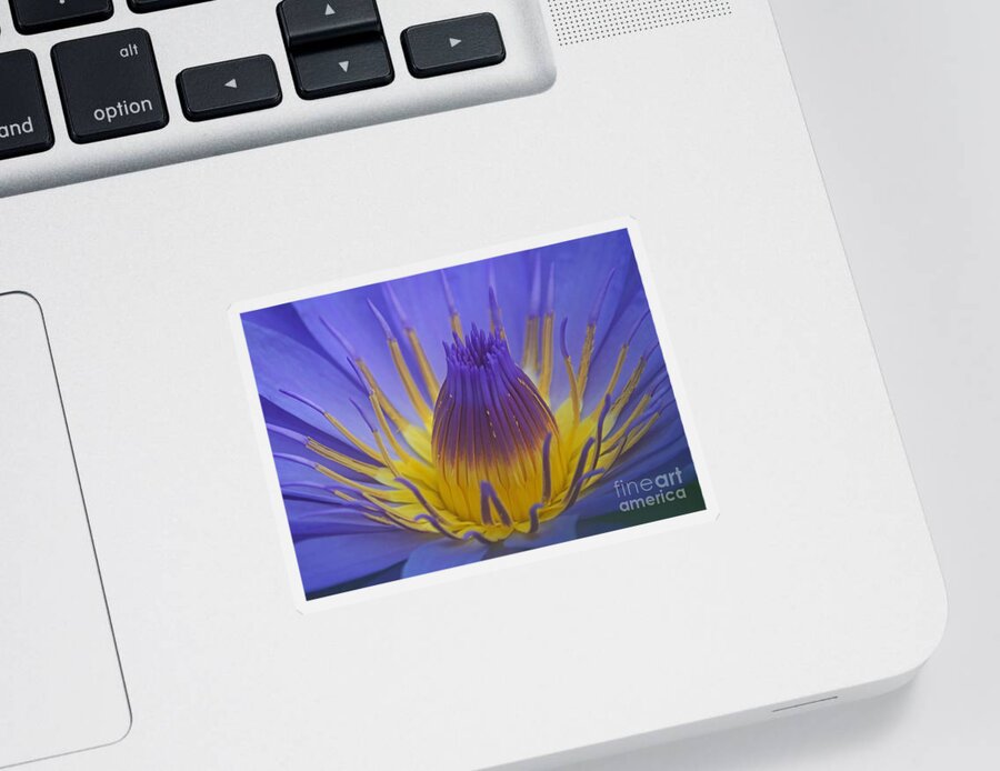 Plant Sticker featuring the photograph Tropic Water Lily 16 by Rudi Prott