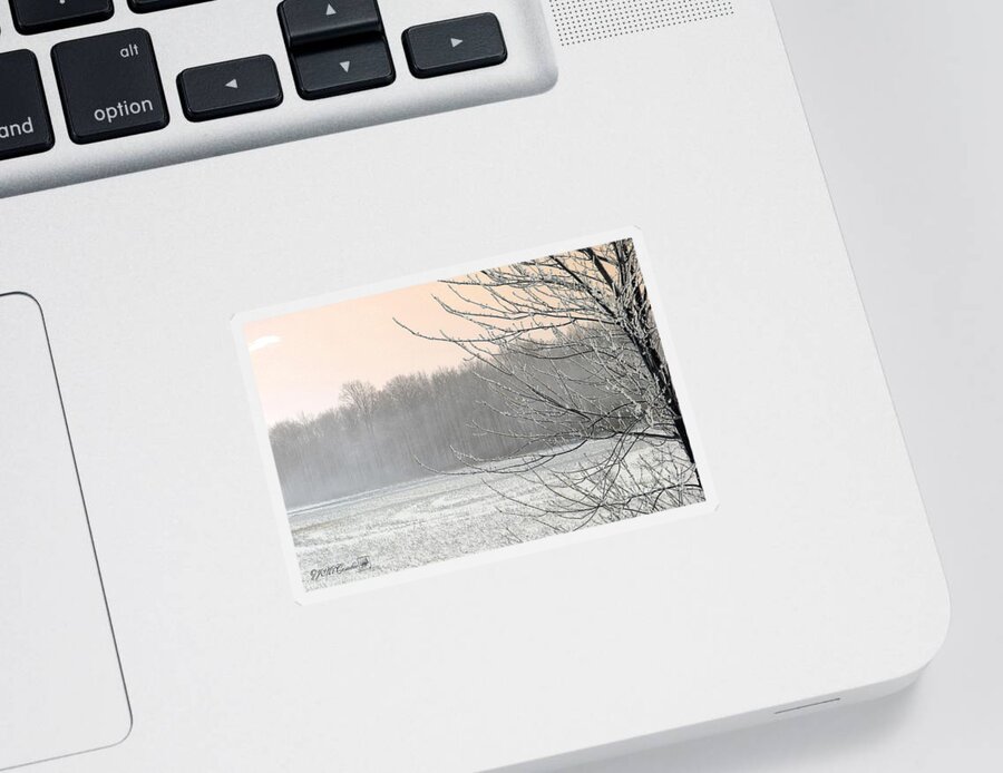 Mccombie Sticker featuring the photograph Winter Woods #2 by J McCombie