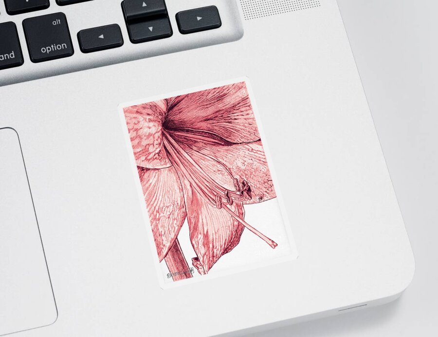 Mccombie Sticker featuring the painting Amaryllis #4 by J McCombie