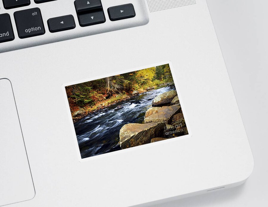 River Sticker featuring the photograph Rocks and river rapids in autumn forest by Elena Elisseeva