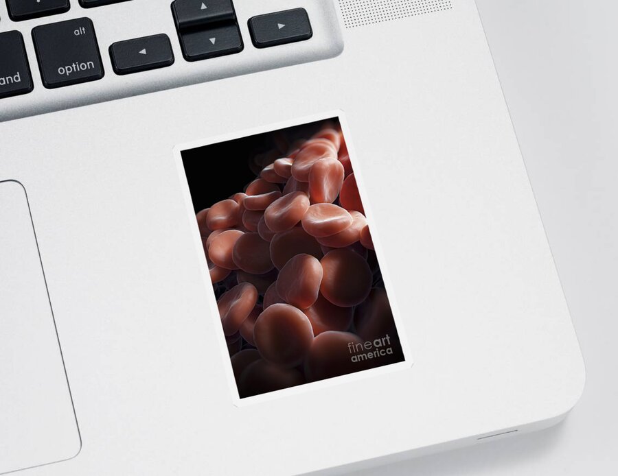 Red Blood Cells Sticker featuring the photograph Red Blood Cells #32 by Science Picture Co