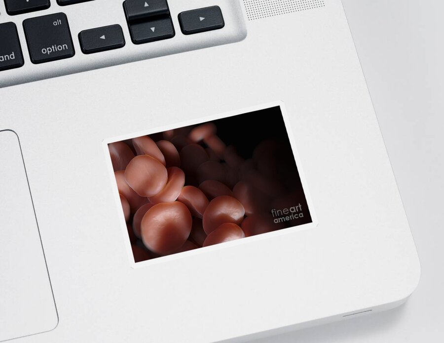 Red Blood Cells Sticker featuring the photograph Red Blood Cells #33 by Science Picture Co