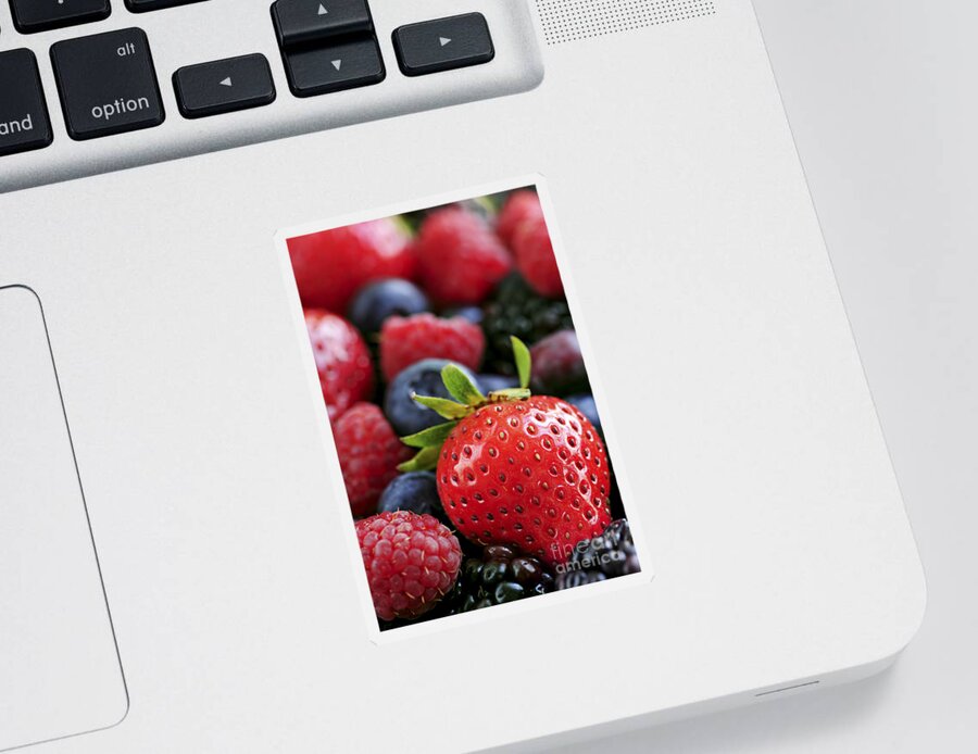 Berry Sticker featuring the photograph Assorted fresh berries 1 by Elena Elisseeva