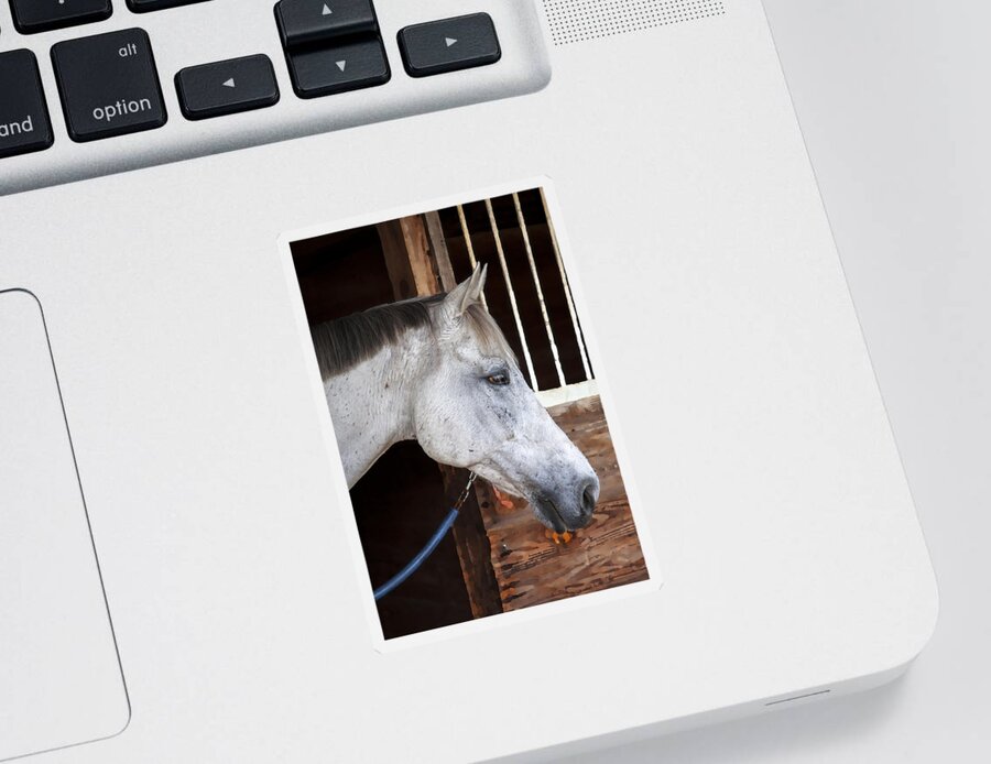 Rocking Horse Stables Sticker featuring the photograph Rocking Horse Stables #4 by Rich Franco