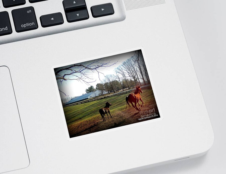 Horse Sticker featuring the photograph 45 and Going Strong by Rabiah Seminole