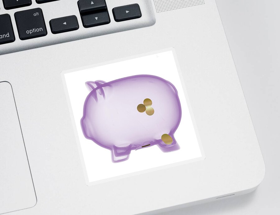 Bank Sticker featuring the photograph Piggy Bank X-ray by Teresa Zgoda