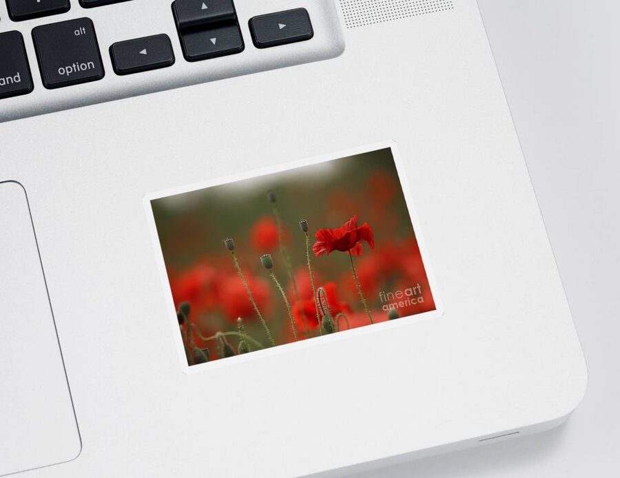 Poppy Sticker featuring the photograph Red #7 by Nailia Schwarz