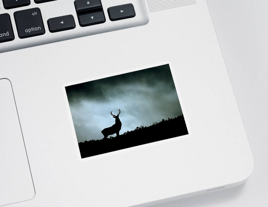 Stag Silhouette Sticker featuring the photograph Stag silhouette #7 by Gavin Macrae