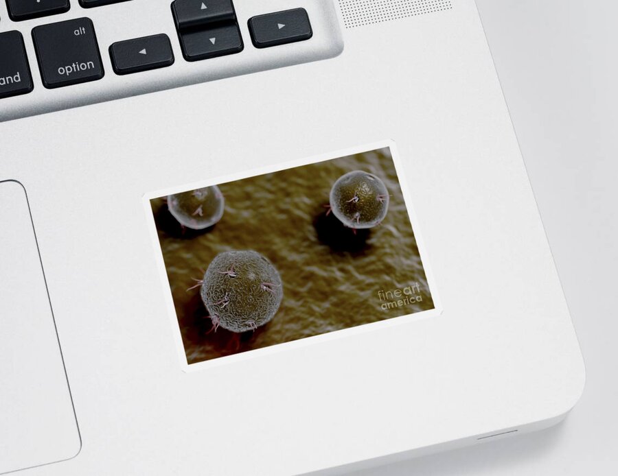 3d Visualization Sticker featuring the photograph Virus Particles #7 by Science Picture Co