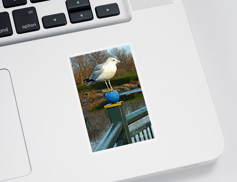 Seagulls Photographs Sticker featuring the photograph A Balancing Act by Emmy Vickers