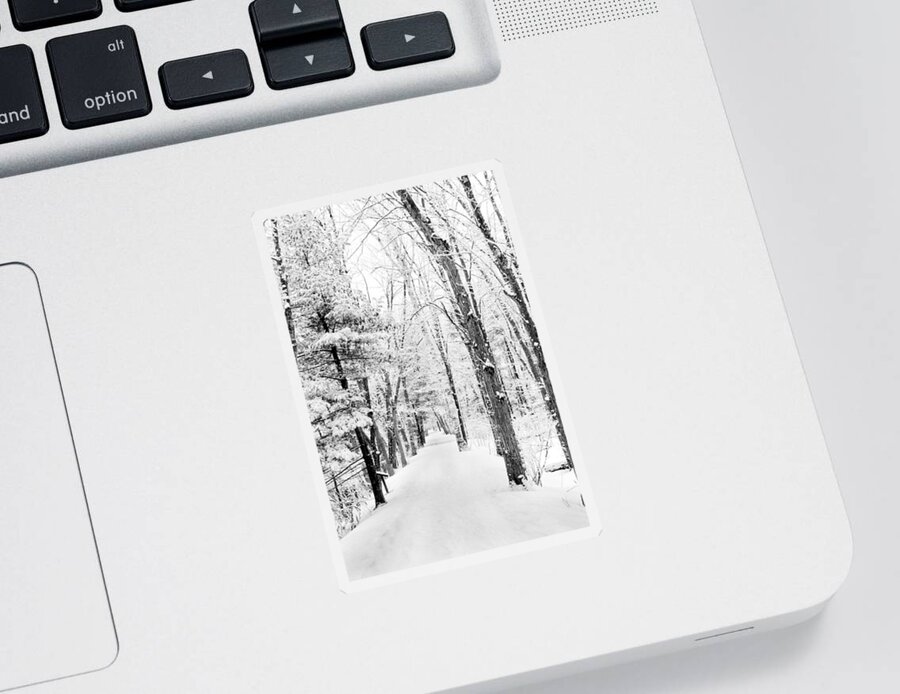 Snow Sticker featuring the photograph A Clean Slate by Greg Fortier