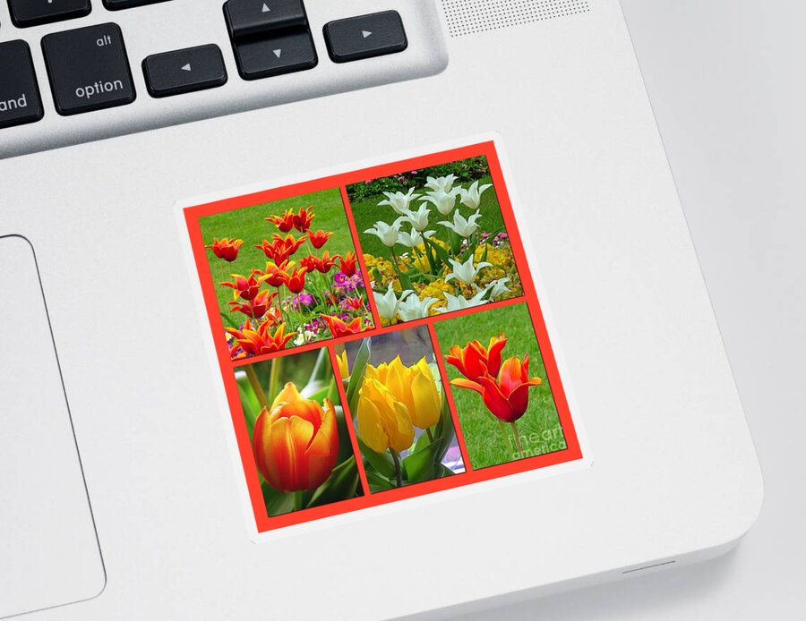 Tulips Sticker featuring the photograph A Collage of Aspiring Tulips by Joan-Violet Stretch