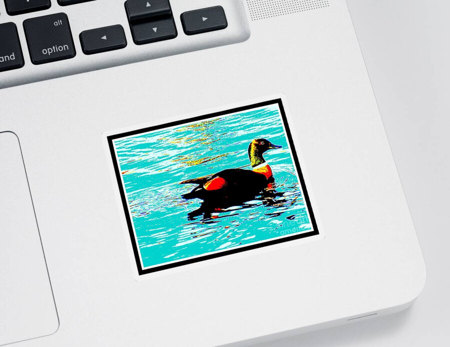 Duck Sticker featuring the photograph A Duck is a duck in a pond by Roberto Gagliardi