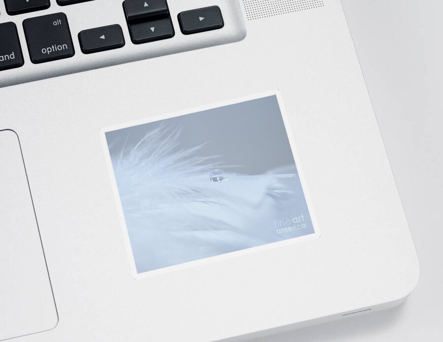 Feather Sticker featuring the photograph A Gentle Heaven by Krissy Katsimbras