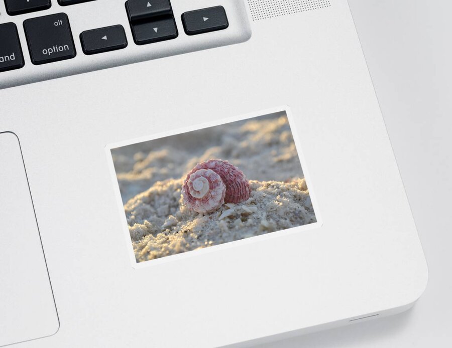 Seashell Sticker featuring the photograph A Gentle Strength by Melanie Moraga