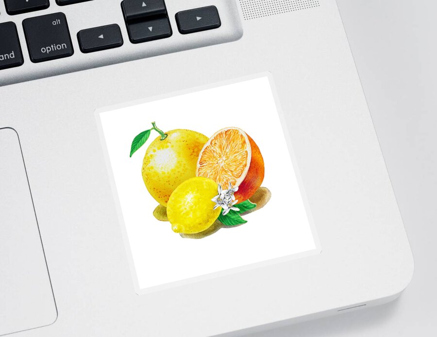 Grapefruit Sticker featuring the painting A Happy Citrus Bunch Grapefruit Lemon Orange by Irina Sztukowski