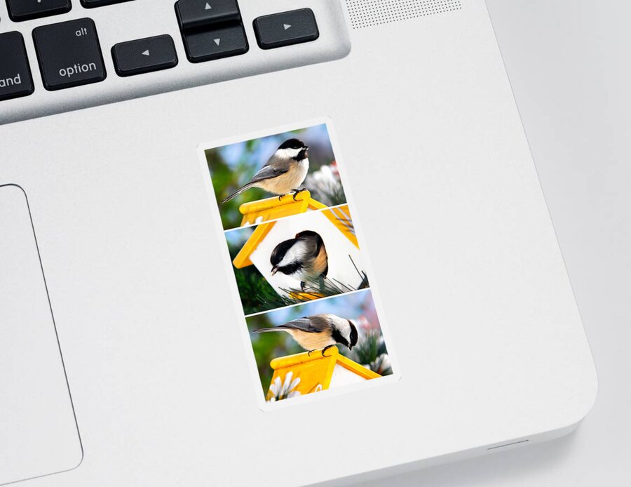 Chickadee Sticker featuring the mixed media Chickadees Triptych by Christina Rollo