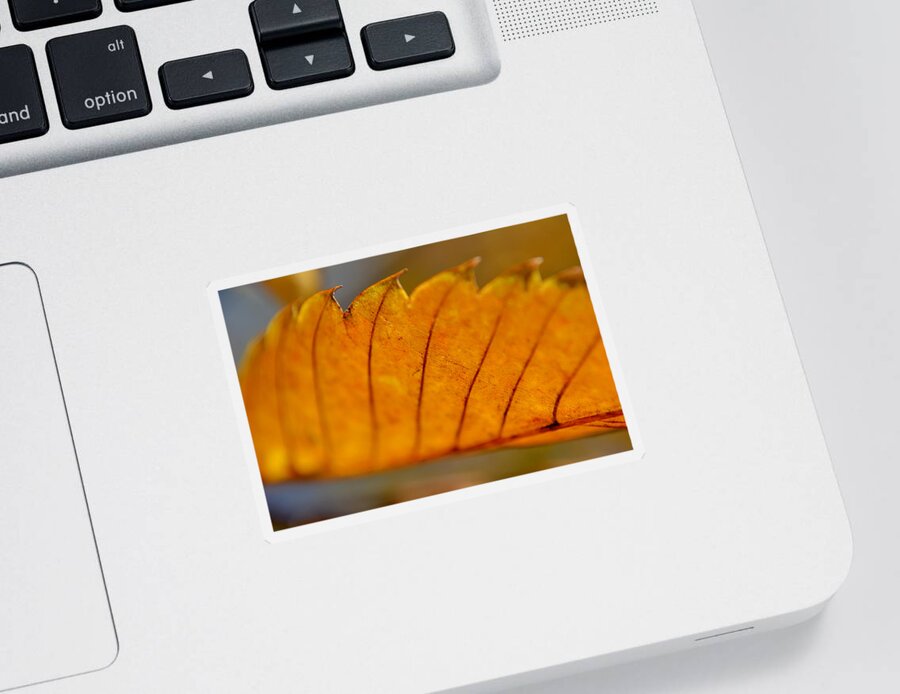 Leaf Sticker featuring the photograph A Memory of the Heart by Melanie Moraga