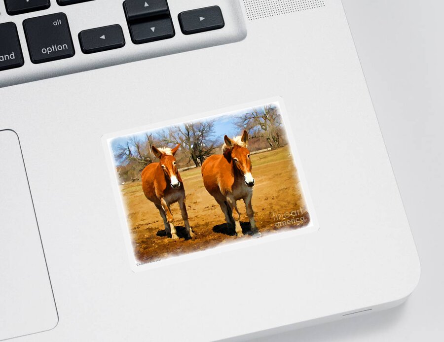 Nature Sticker featuring the photograph A Pair of Mules Digital paint by Debbie Portwood